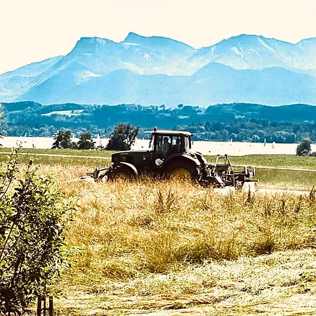 Zuhaeusl Am Chiemsee Breitbrunn am Chiemsee