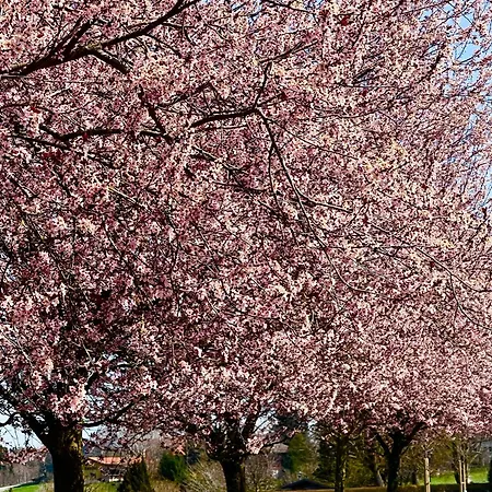 Zuhäusl Am Chiemsee *