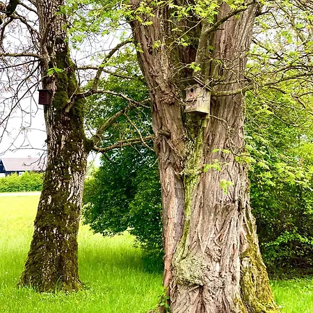 Lägenhet Zuhaeusl Am Chiemsee Breitbrunn am Chiemsee