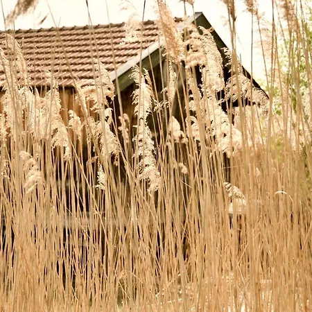 Lägenhet Zuhaeusl Am Chiemsee *