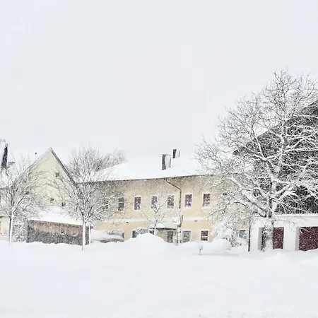 Zuhaeusl Am Chiemsee Lägenhet *